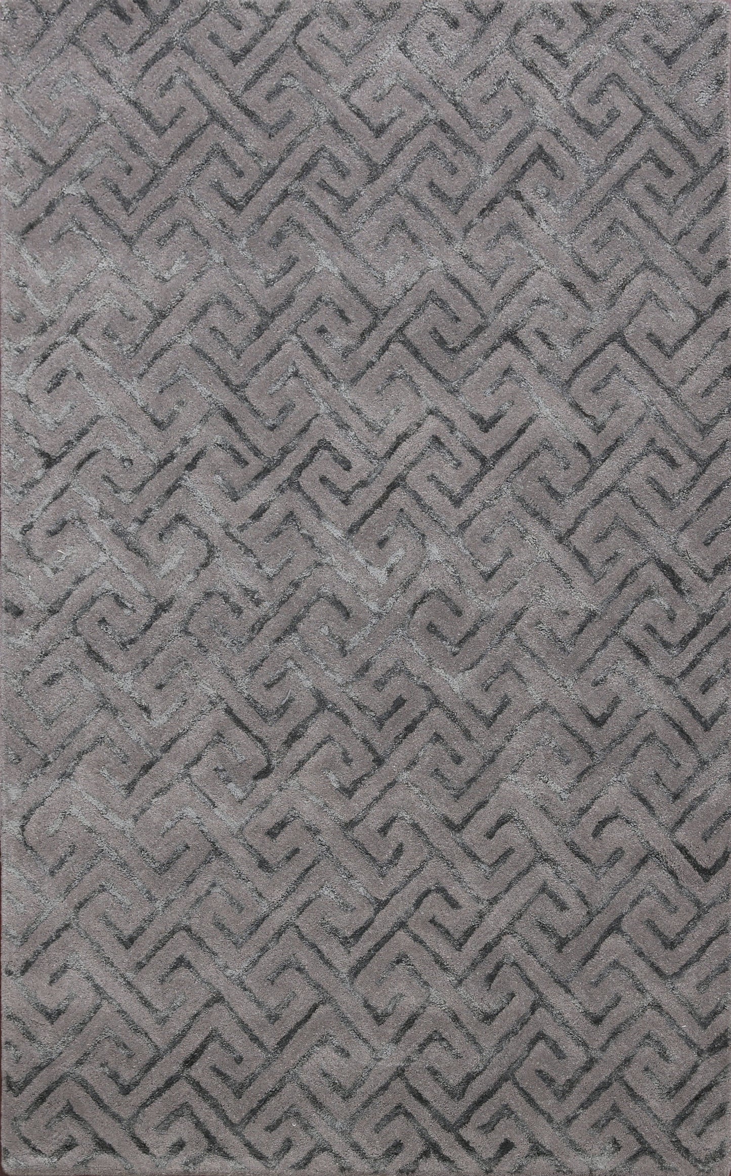 Modern Trellis Oriental Area Rug 4x6