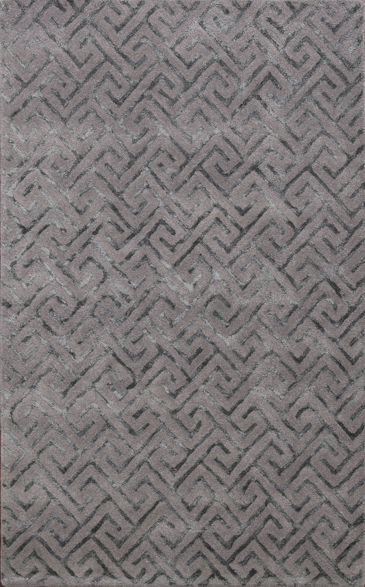 Modern Trellis Oriental Area Rug 4x6