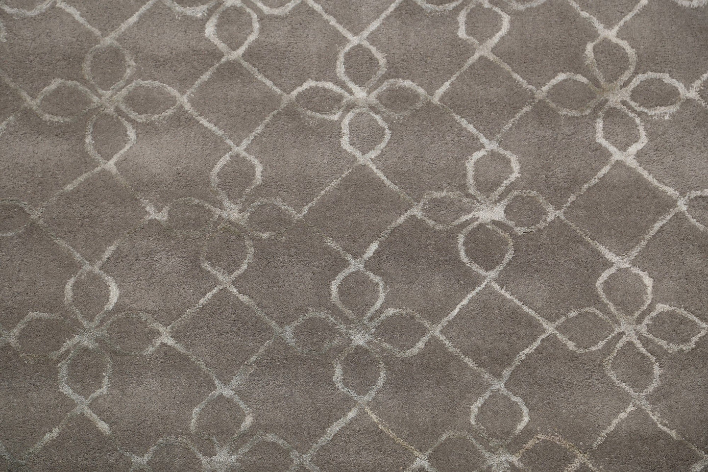 Modern Trellis Oriental Area Rug 4x6