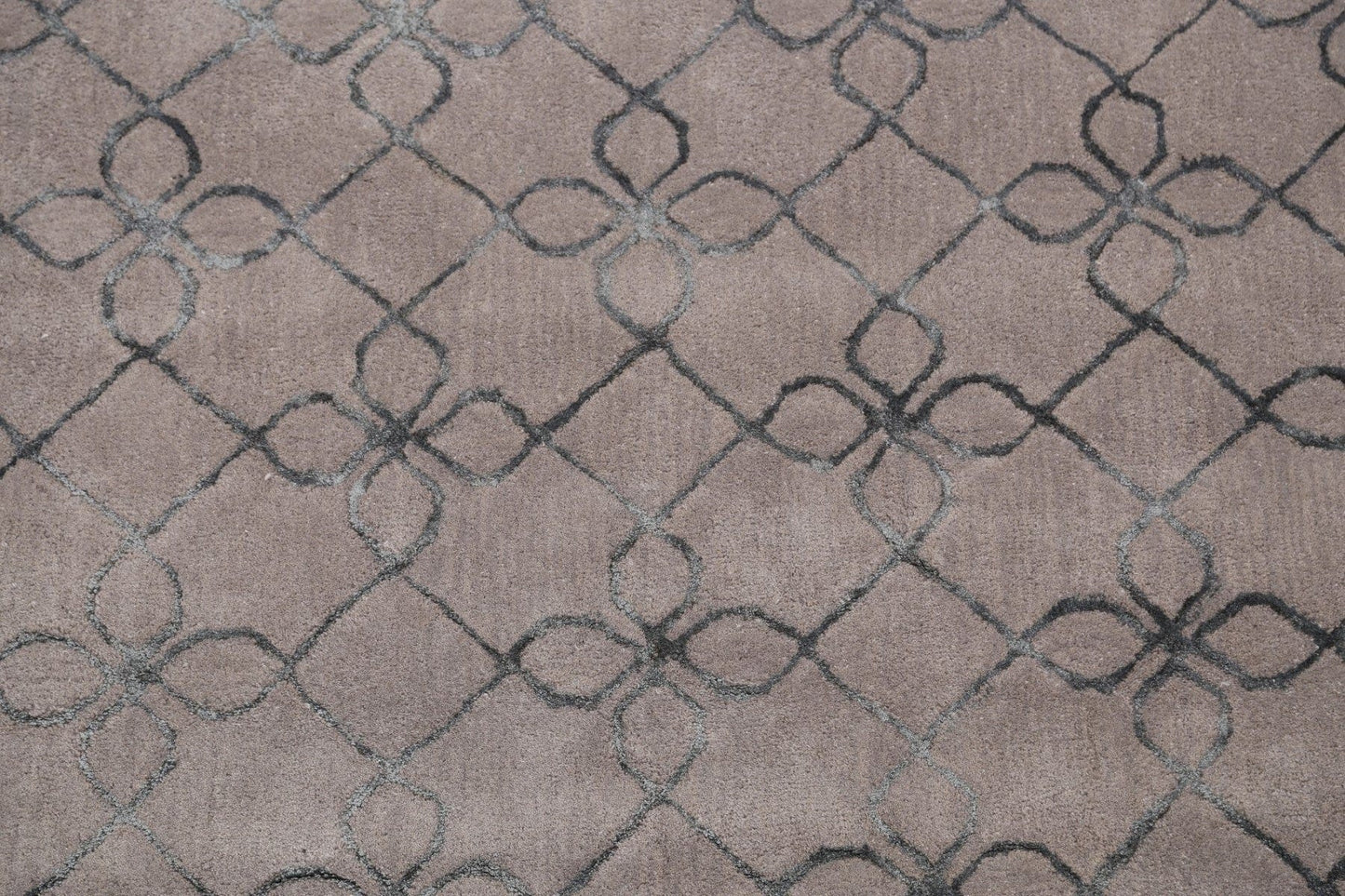 Modern Trellis Oriental Area Rug 4x6