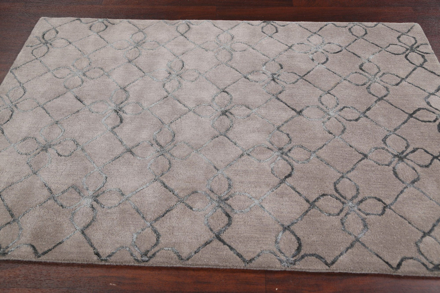 Modern Trellis Oriental Area Rug 4x6