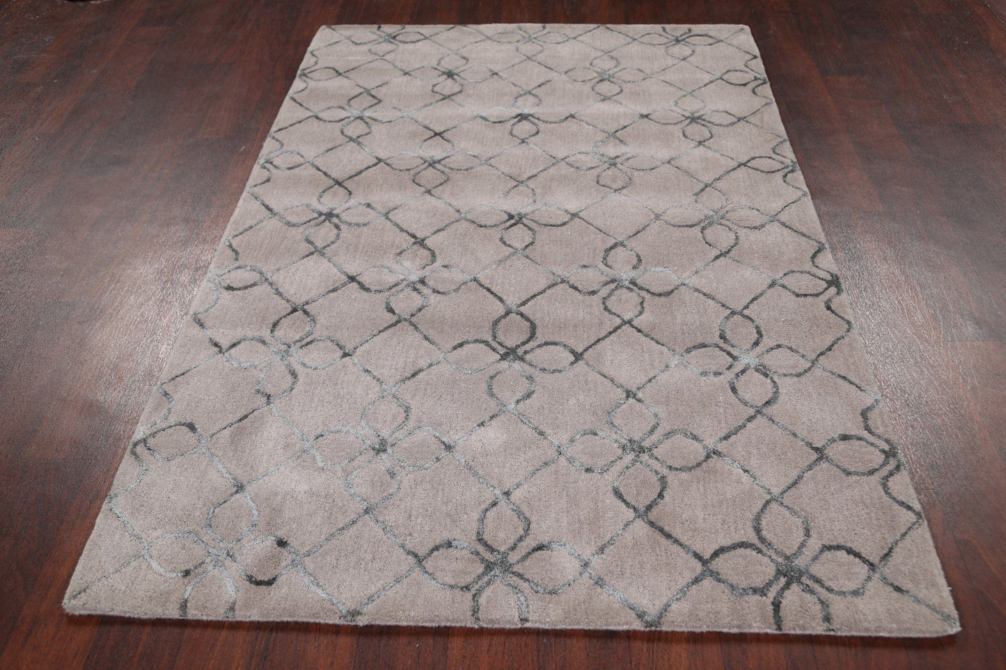 Modern Trellis Oriental Area Rug 4x6