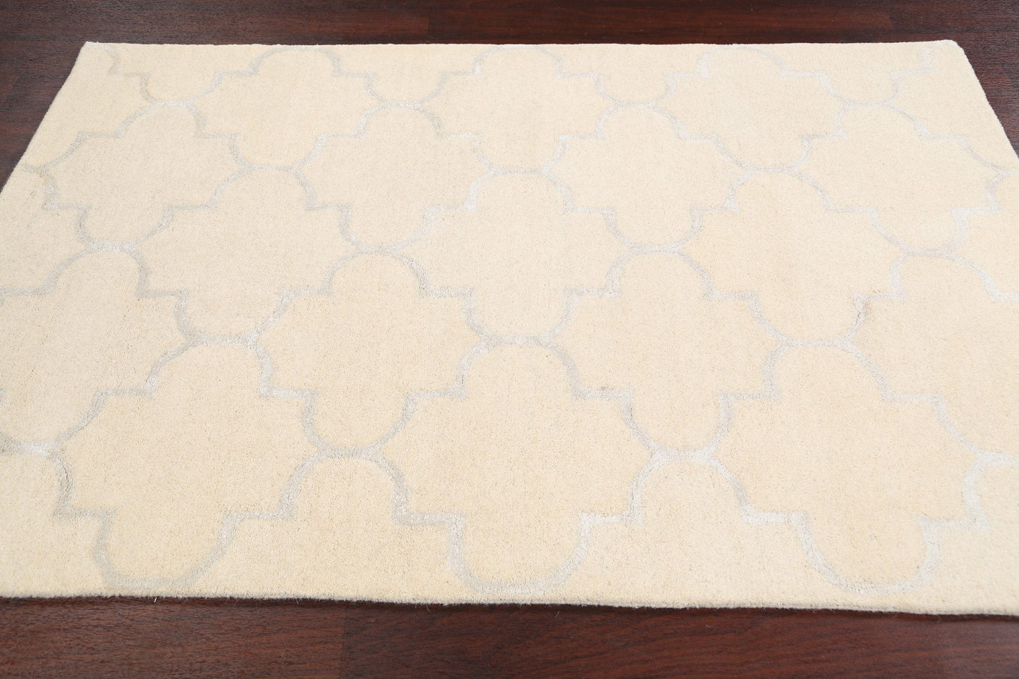 Modern Trellis Oriental Area Rug 4x6