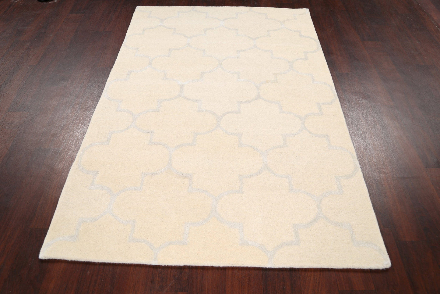 Modern Trellis Oriental Area Rug 4x6