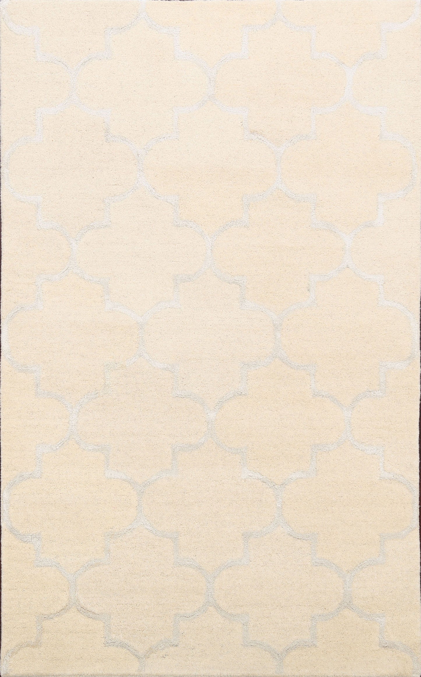 Modern Trellis Oriental Area Rug 4x6