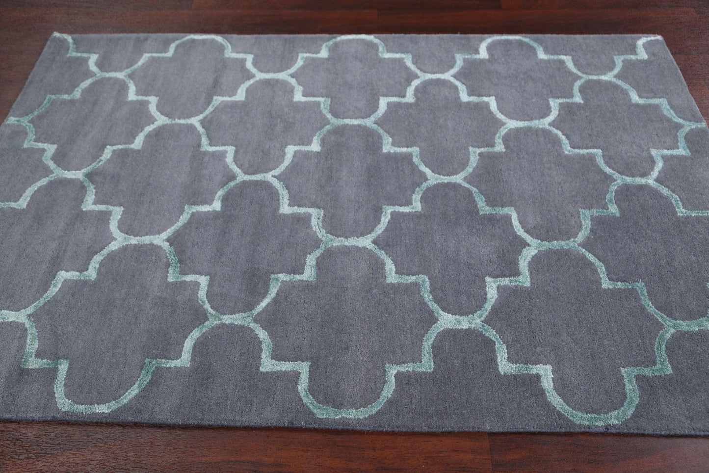 Modern Trellis Oriental Area Rug 4x6