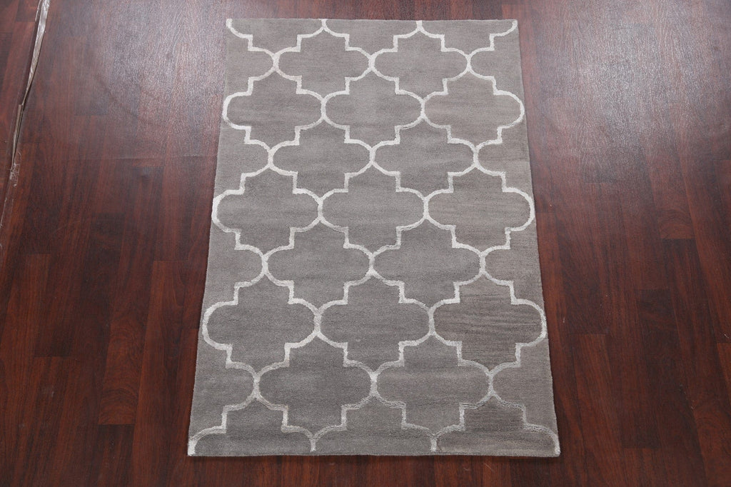 Modern Trellis Oriental Area Rug 4x6