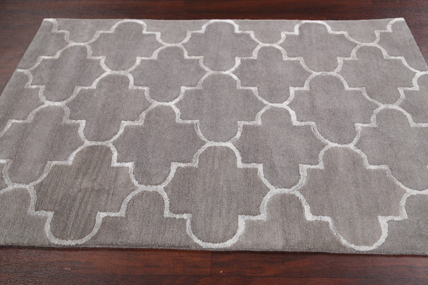 Modern Trellis Oriental Area Rug 4x6