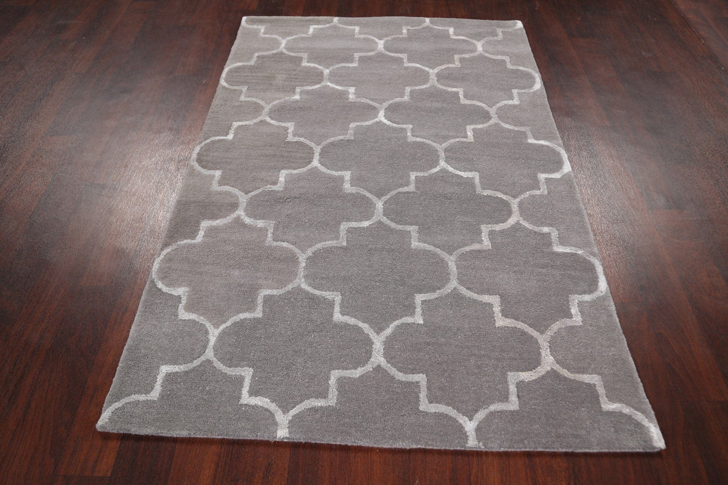 Modern Trellis Oriental Area Rug 4x6