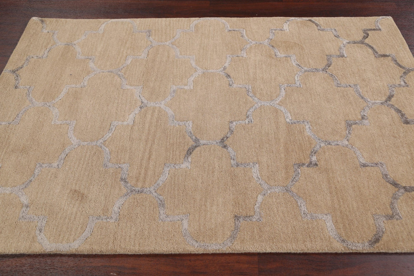 Modern Trellis Oriental Area Rug 4x6