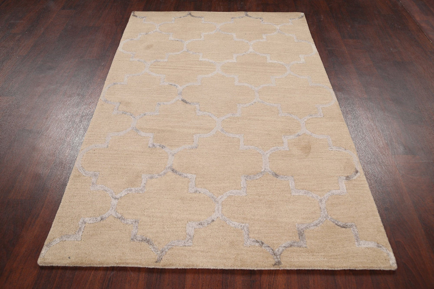 Modern Trellis Oriental Area Rug 4x6