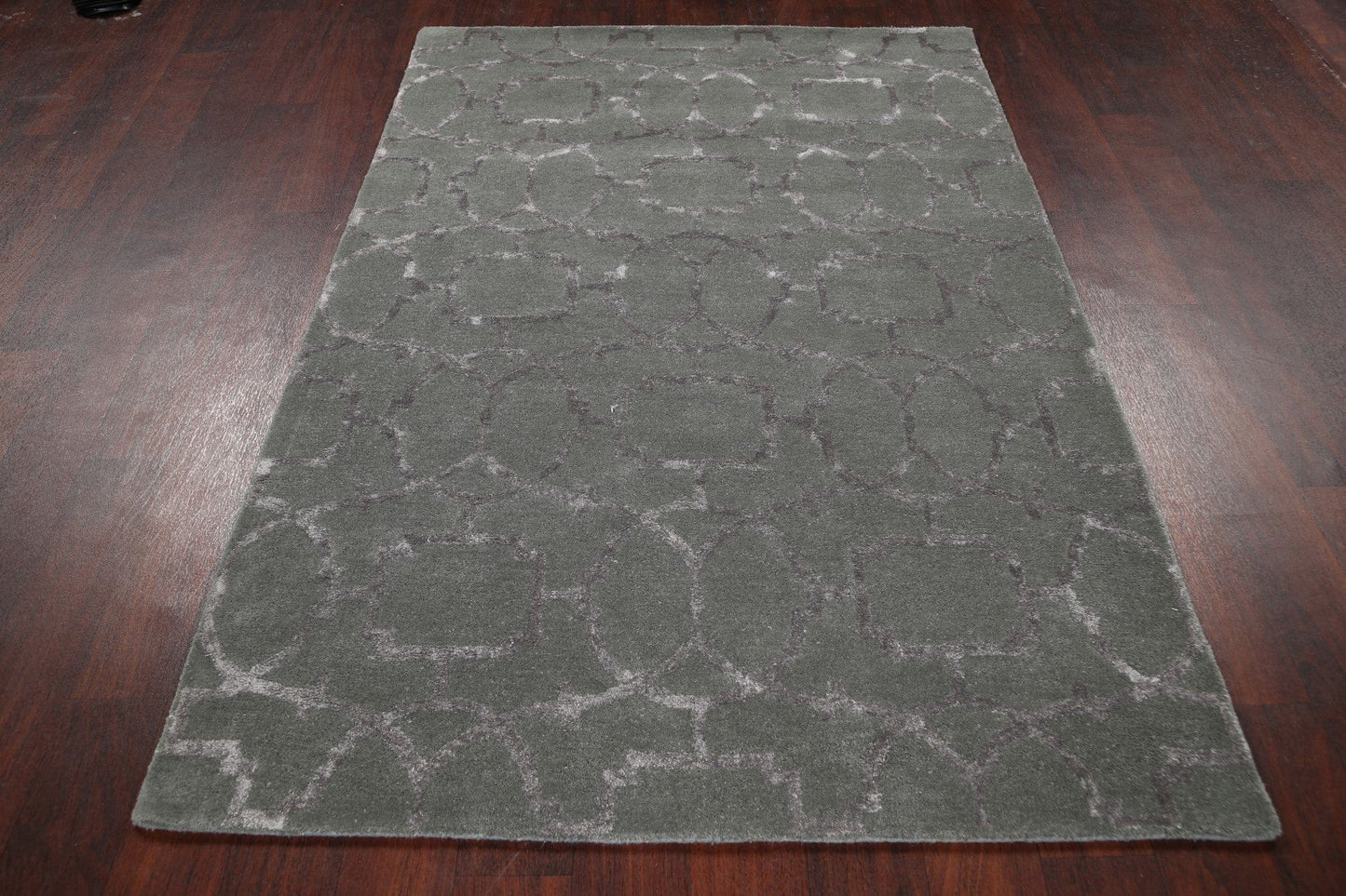 Modern Trellis Oriental Area Rug 4x6