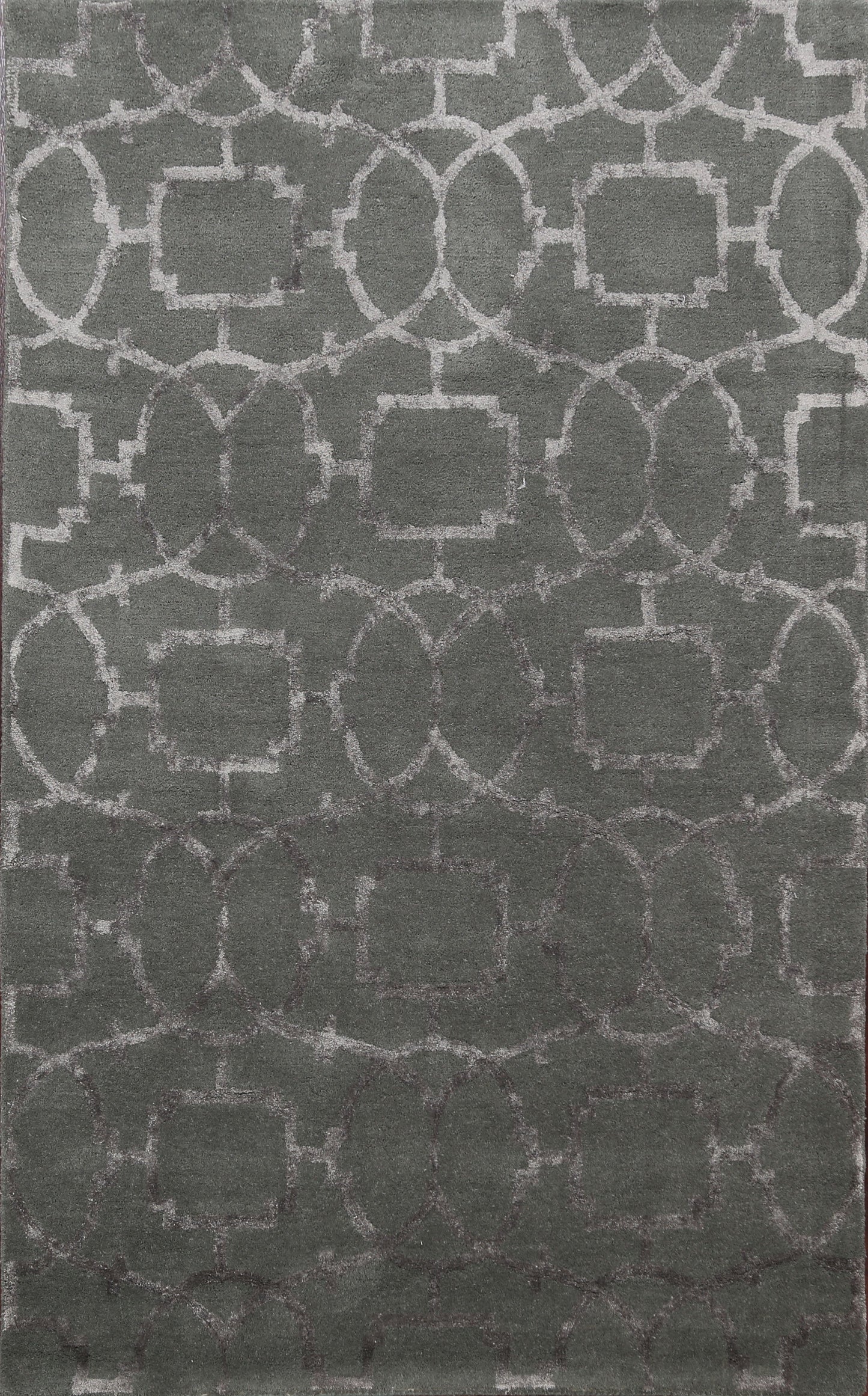 Modern Trellis Oriental Area Rug 4x6