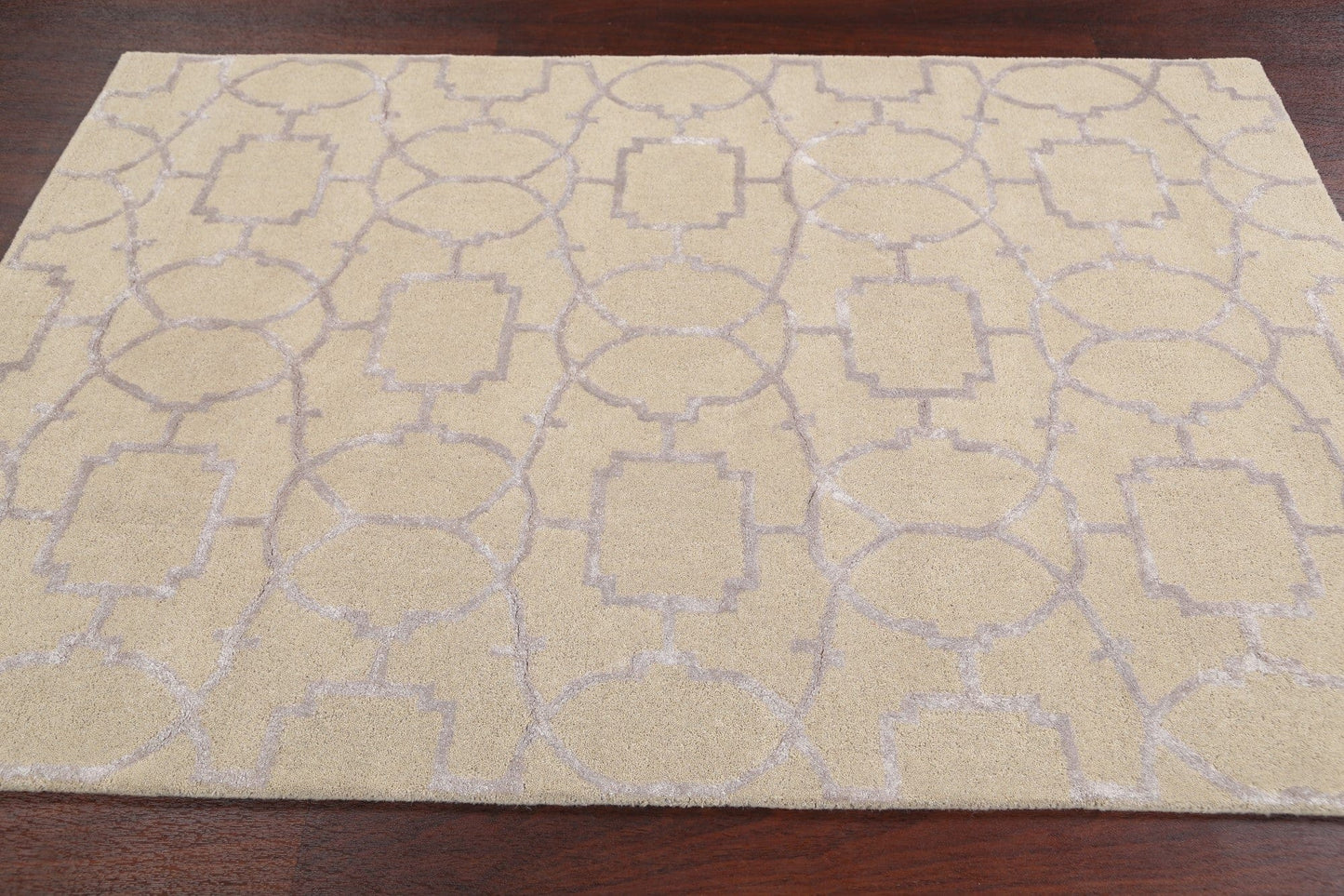 Modern Trellis Oriental Area Rug 4x6