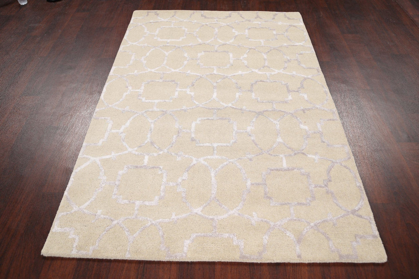 Modern Trellis Oriental Area Rug 4x6