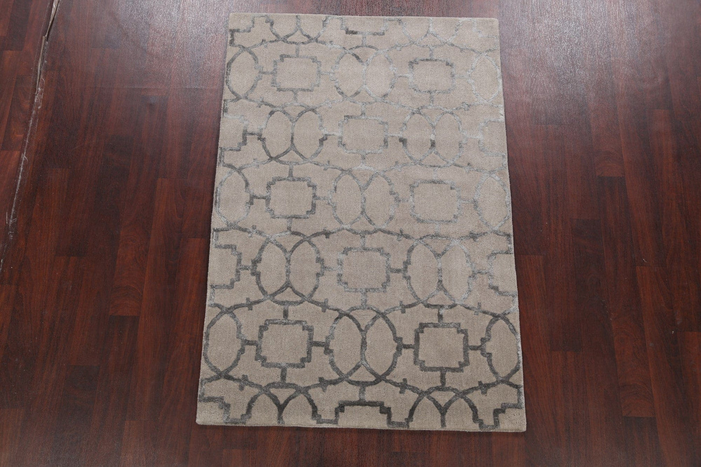 Modern Trellis Oriental Area Rug 4x6