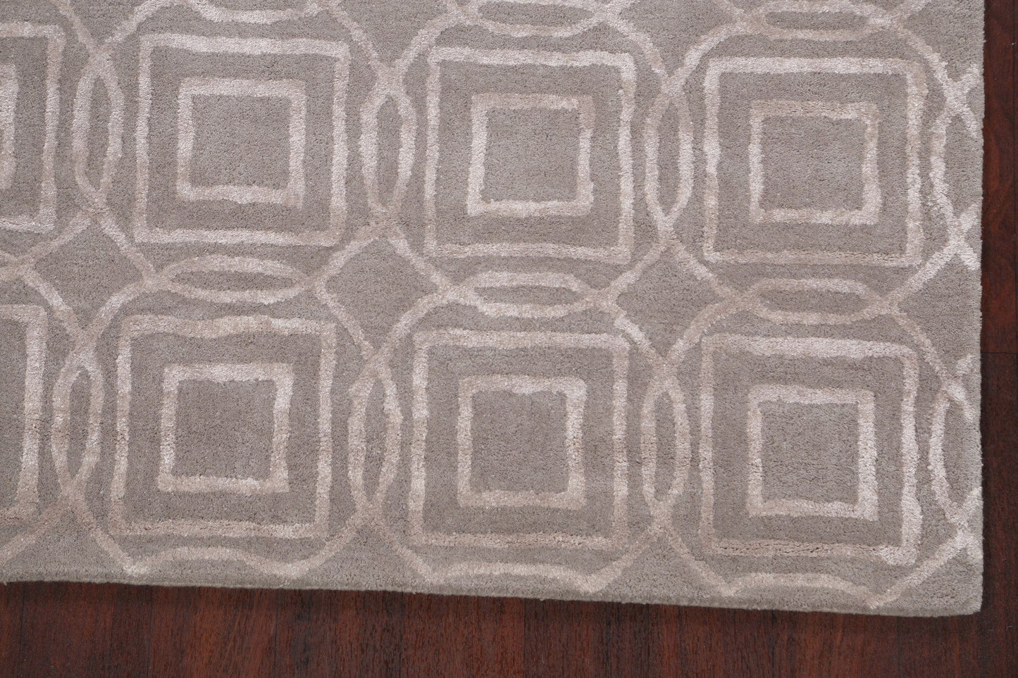 Modern Trellis Oriental Area Rug 4x6