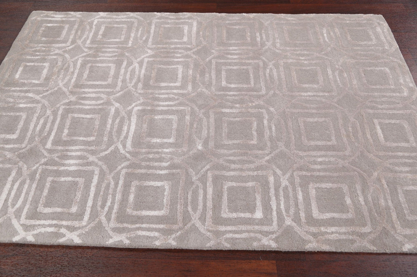 Modern Trellis Oriental Area Rug 4x6