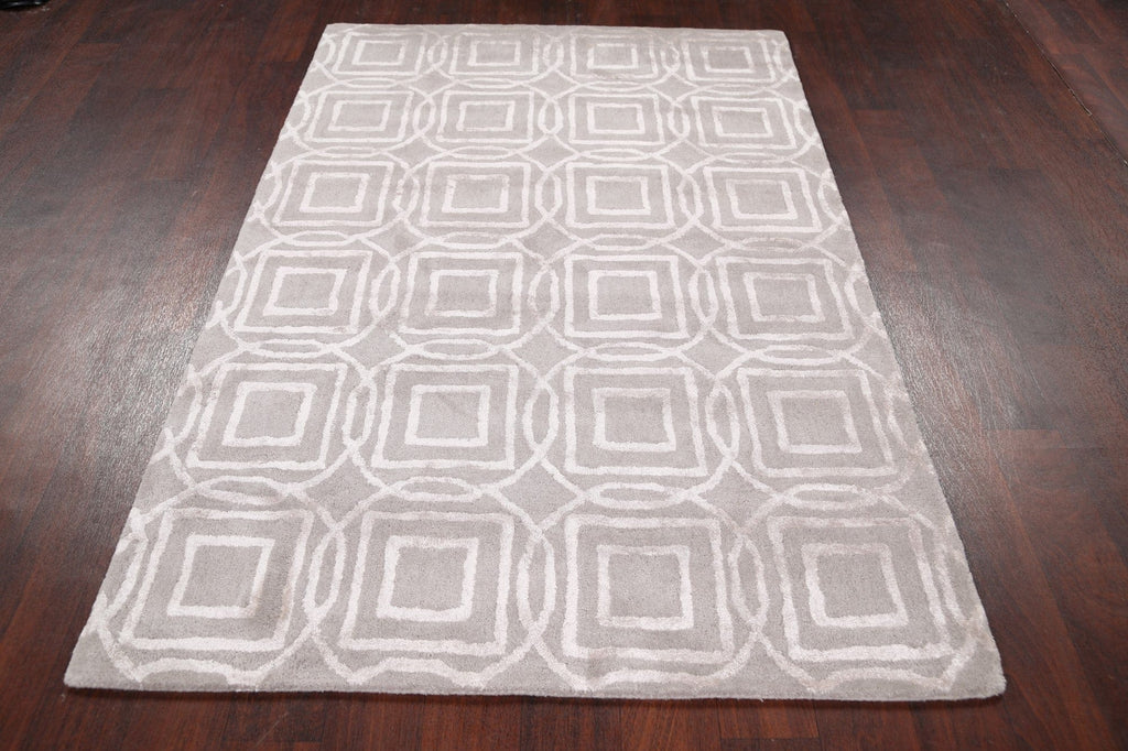 Modern Trellis Oriental Area Rug 4x6