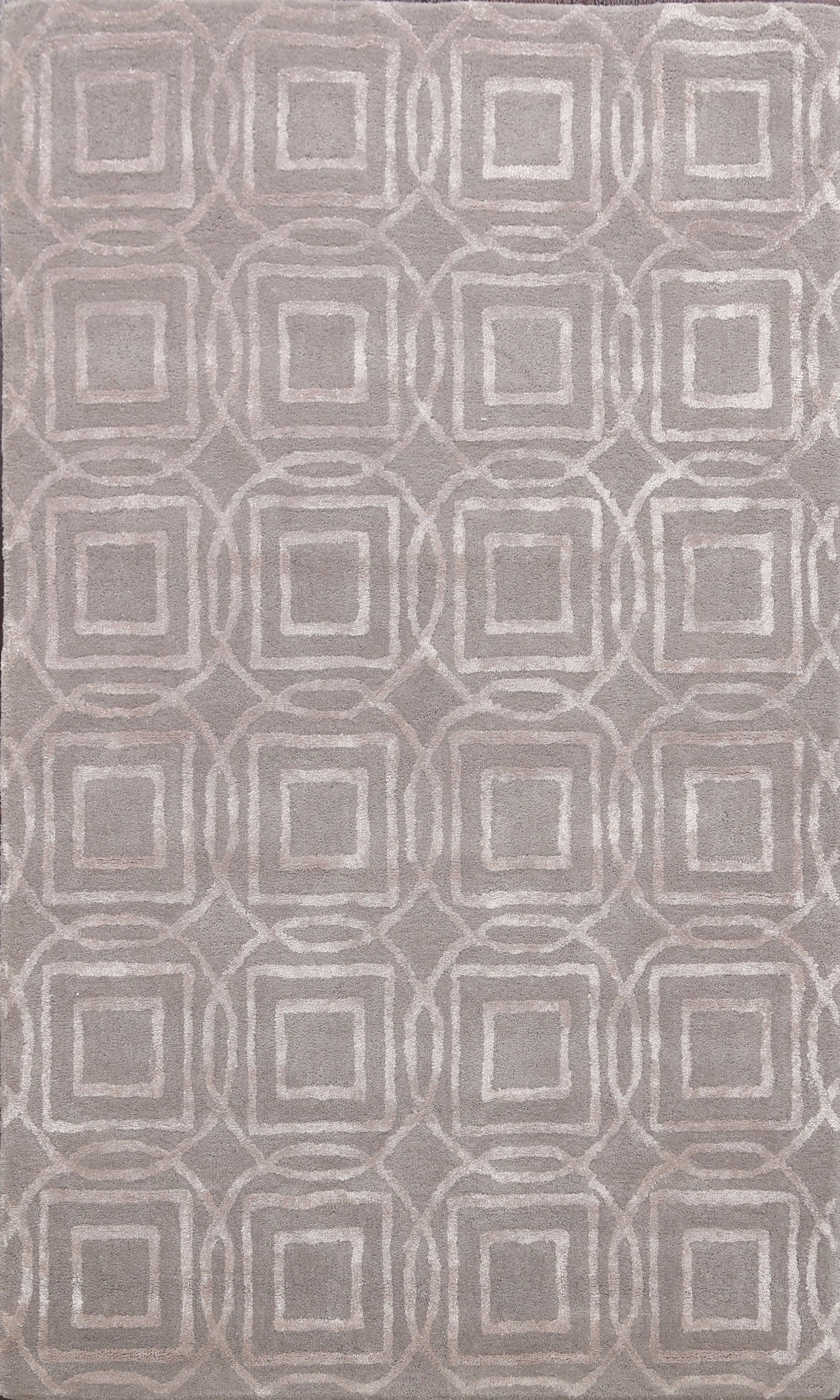 Modern Trellis Oriental Area Rug 4x6