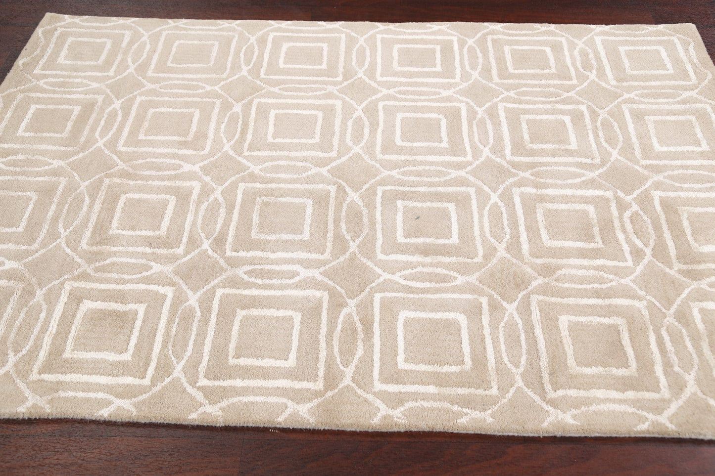 Modern Trellis Oriental Area Rug 4x6