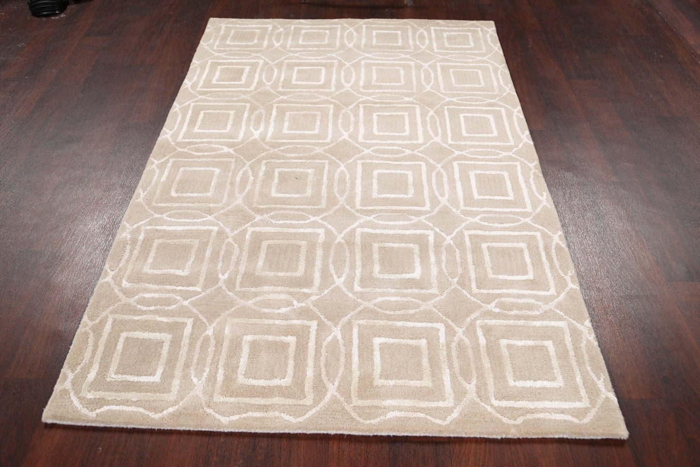 Modern Trellis Oriental Area Rug 4x6