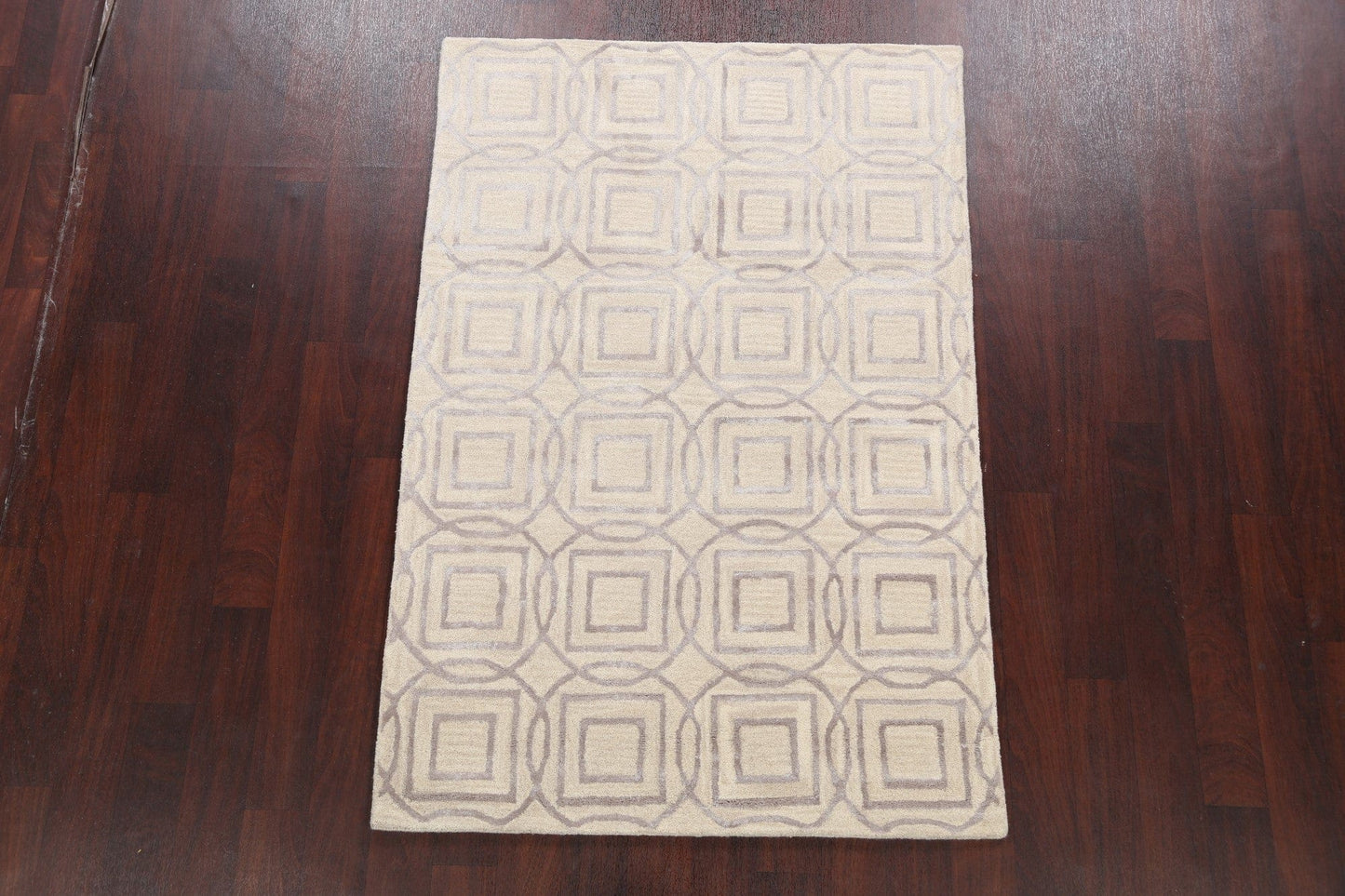 Modern Trellis Oriental Area Rug 4x6