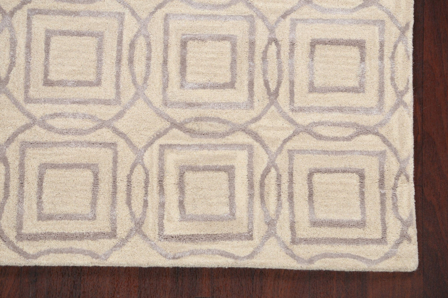 Modern Trellis Oriental Area Rug 4x6