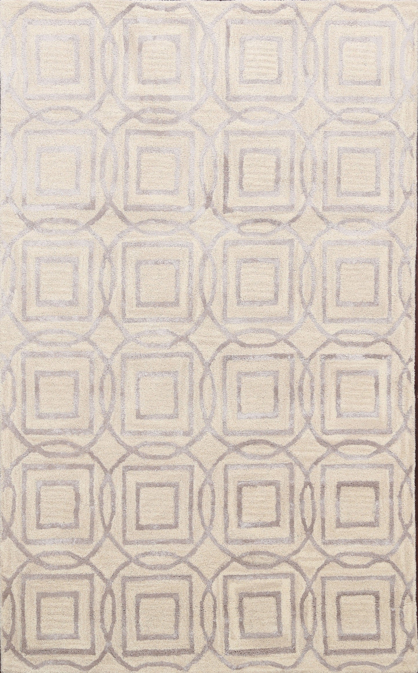 Modern Trellis Oriental Area Rug 4x6