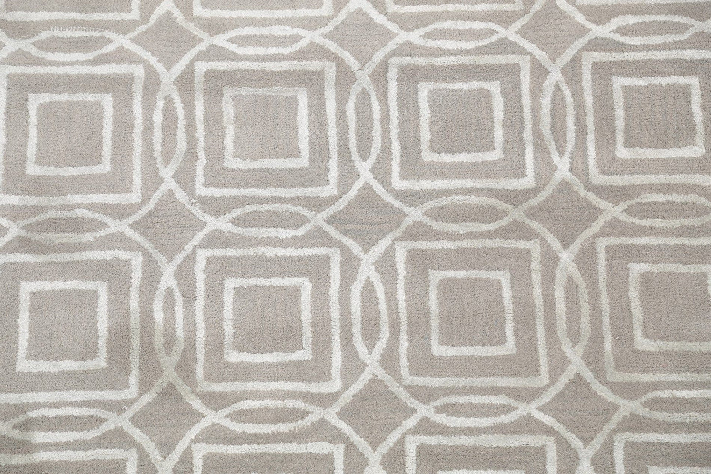 Modern Trellis Oriental Area Rug 4x6