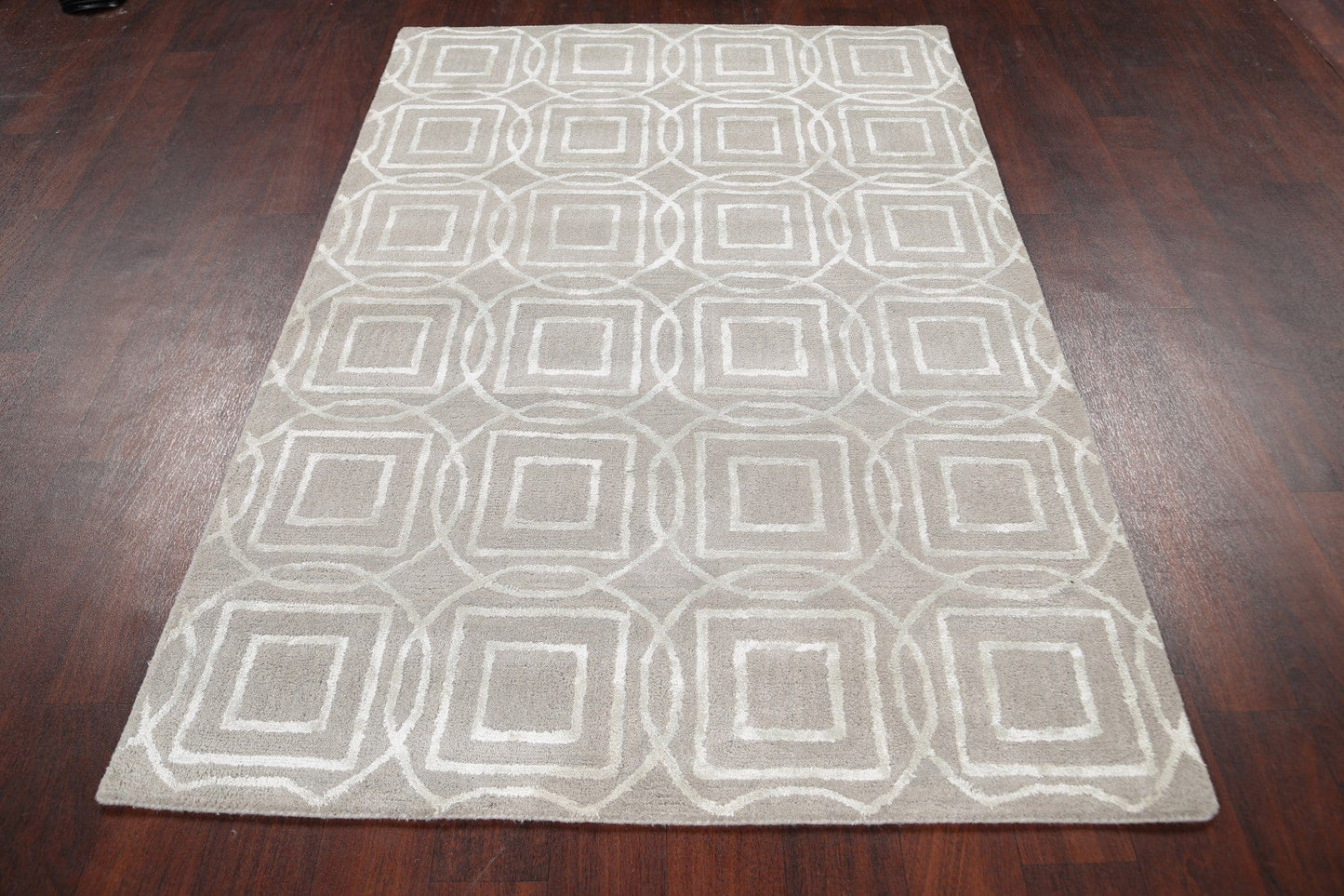 Modern Trellis Oriental Area Rug 4x6