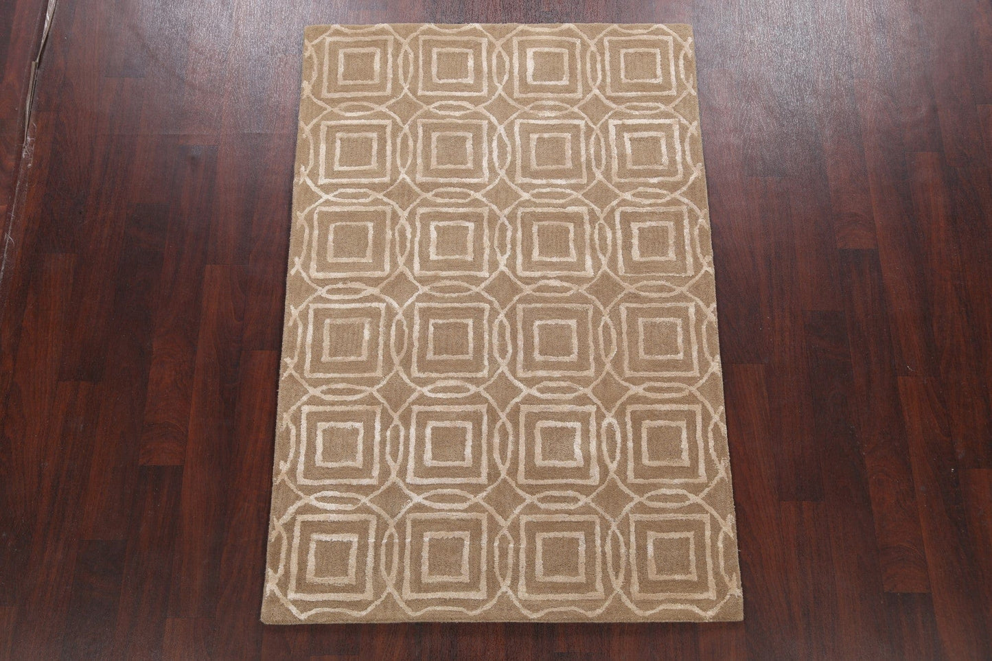 Modern Trellis Oriental Area Rug 4x6