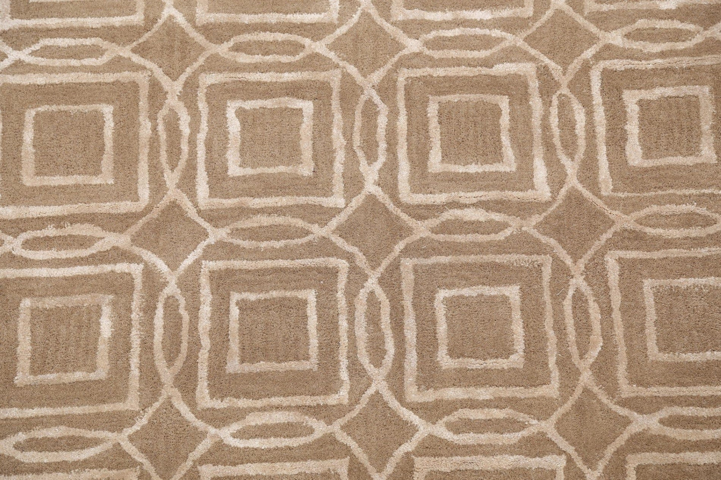 Modern Trellis Oriental Area Rug 4x6