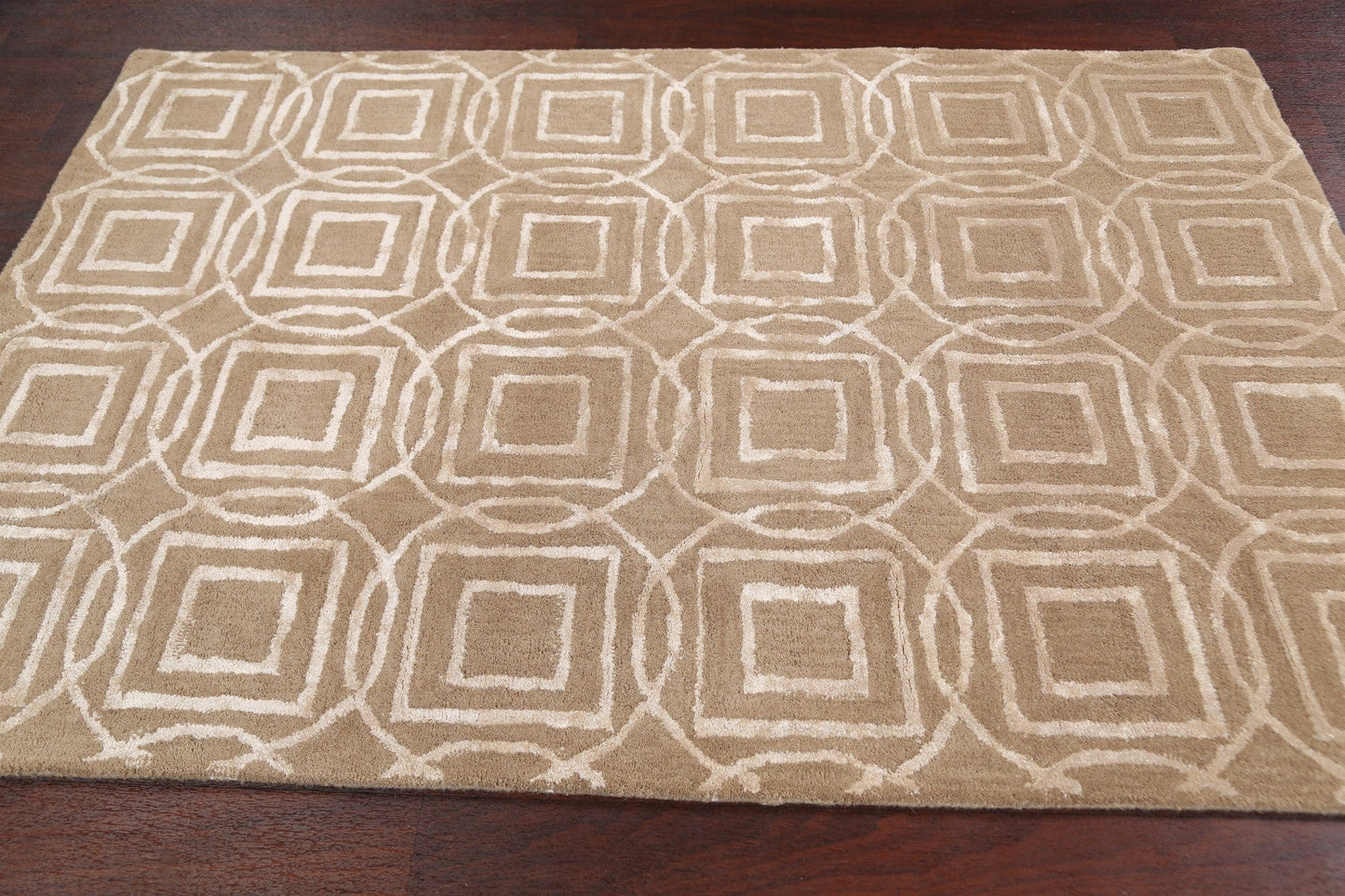 Modern Trellis Oriental Area Rug 4x6