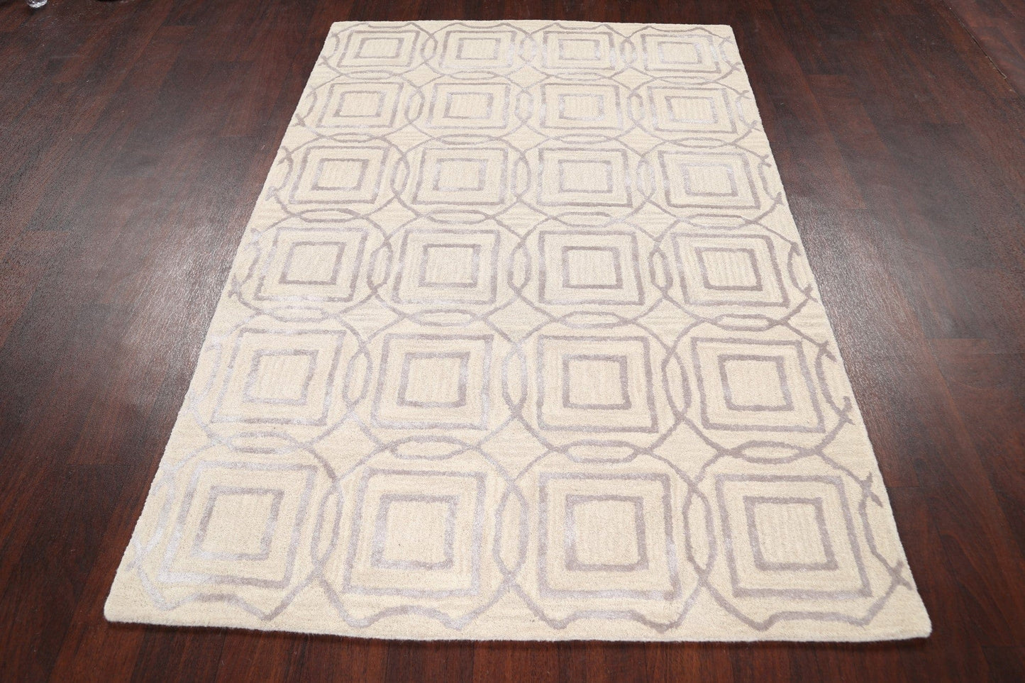 Modern Trellis Oriental Area Rug 4x6