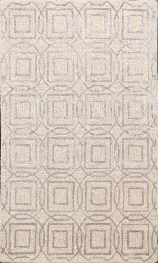 Modern Trellis Oriental Area Rug 4x6