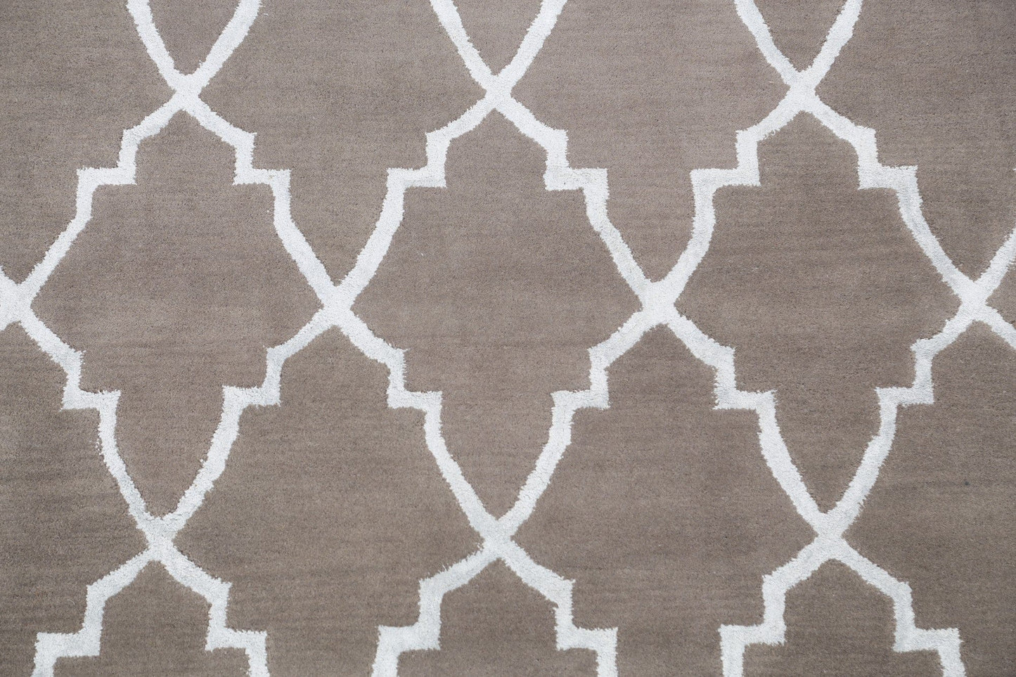 Modern Trellis Oriental Area Rug 5x8