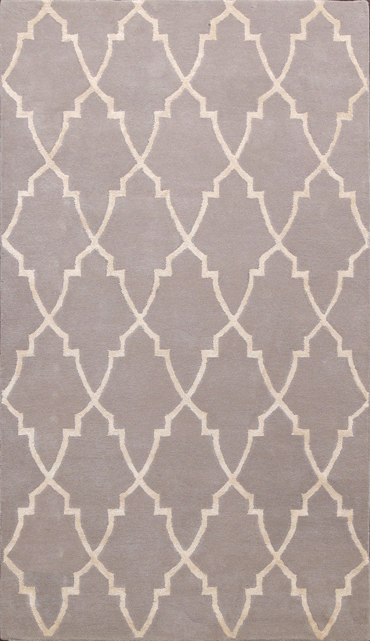 Modern Trellis Oriental Area Rug 5x8