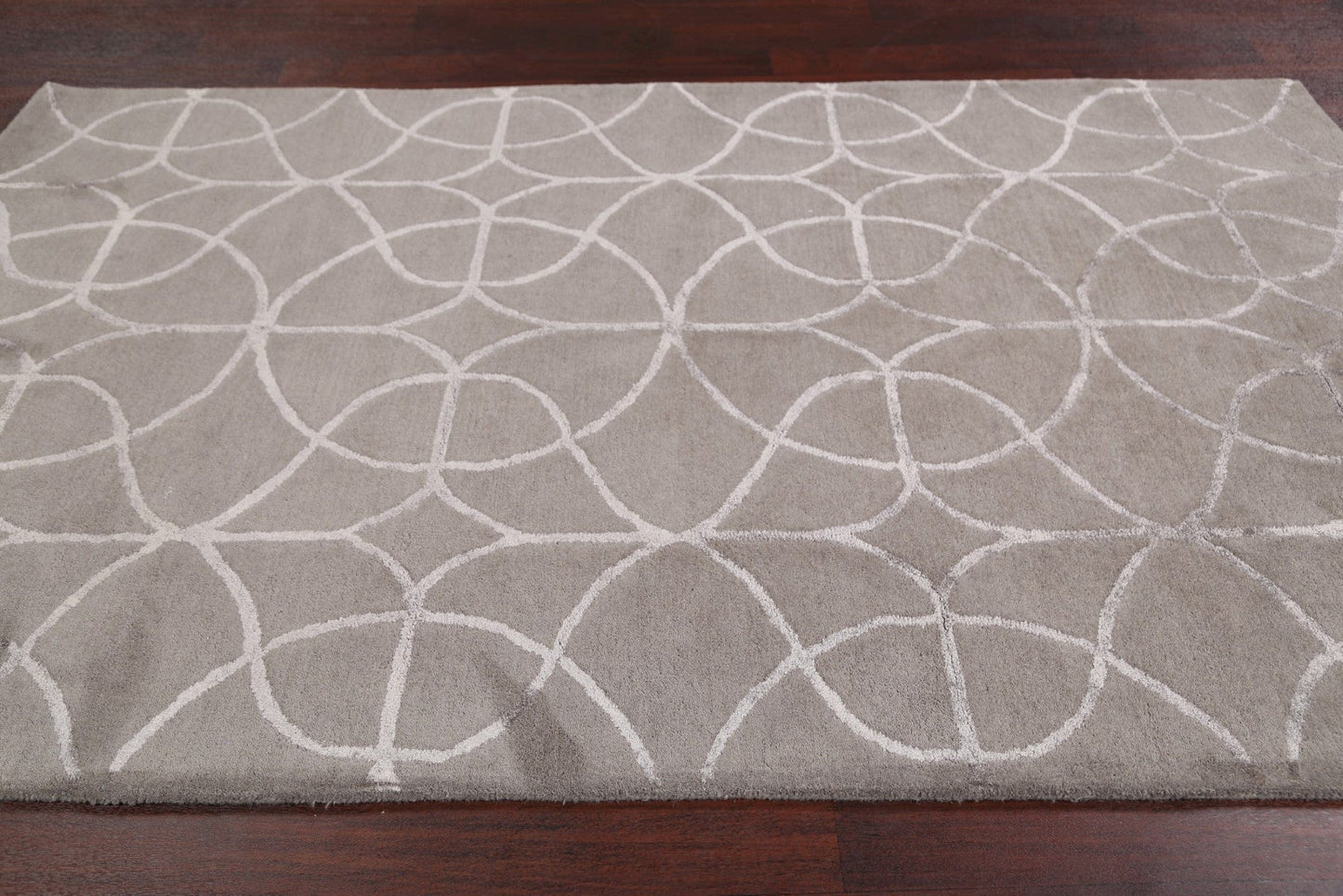 Modern Trellis Oriental Area Rug 5x8