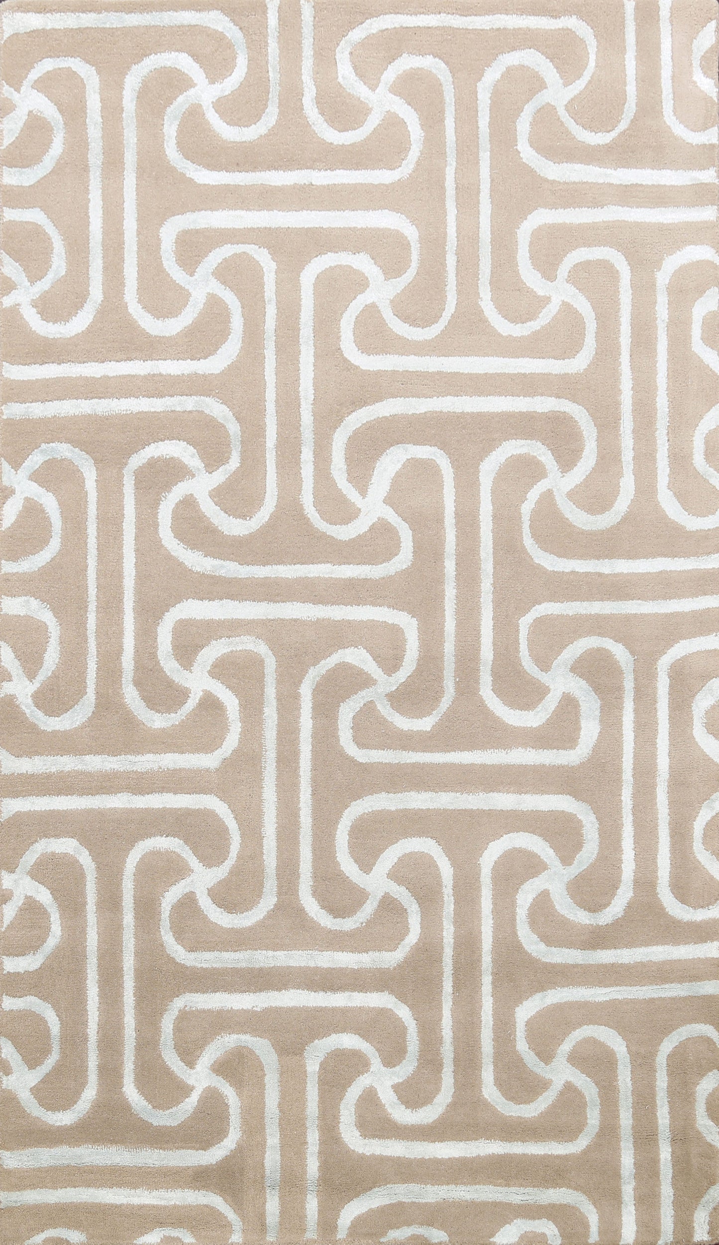 Modern Trellis Oriental Area Rug 5x8