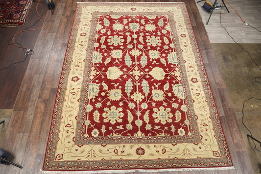 Stark Brand Agra Peshawar Oriental Area Rug 10x14