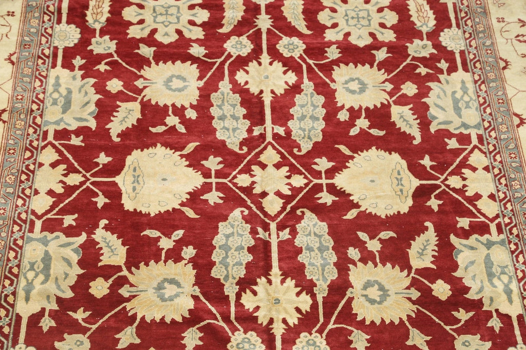 Stark Brand Agra Peshawar Oriental Area Rug 10x14