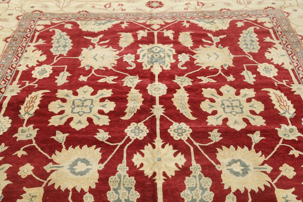 Stark Brand Agra Peshawar Oriental Area Rug 10x14