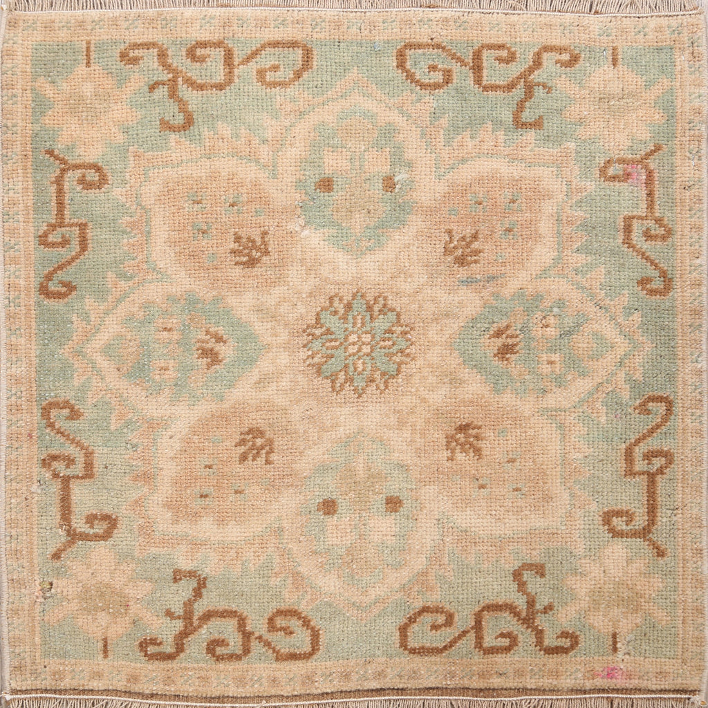 Square Oushak Oriental Area Rug 2x2