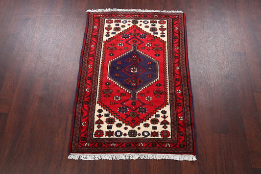 Geometric Hamedan Persian Area Rug 3x5