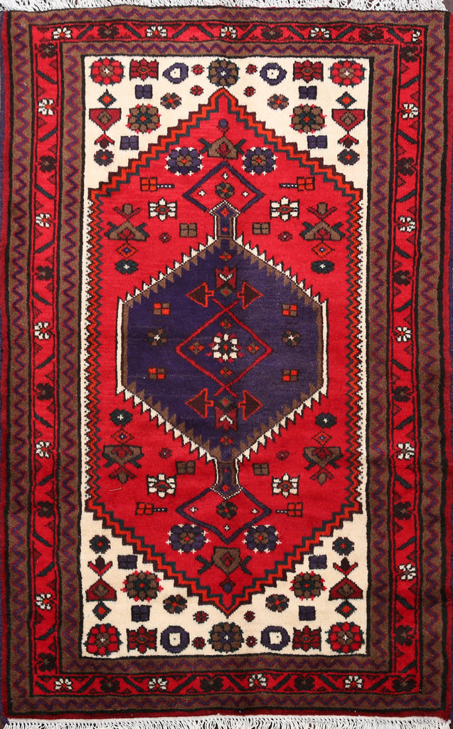 Geometric Hamedan Persian Area Rug 3x5