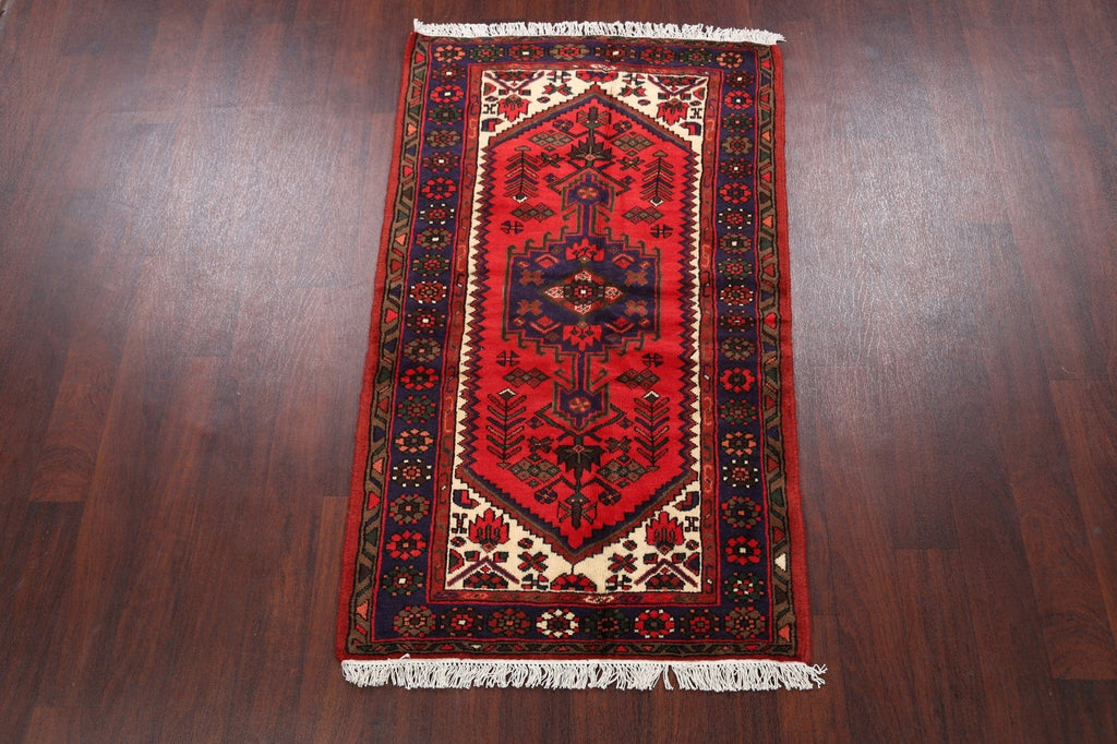 Geometric Hamedan Persian Area Rug 3x5