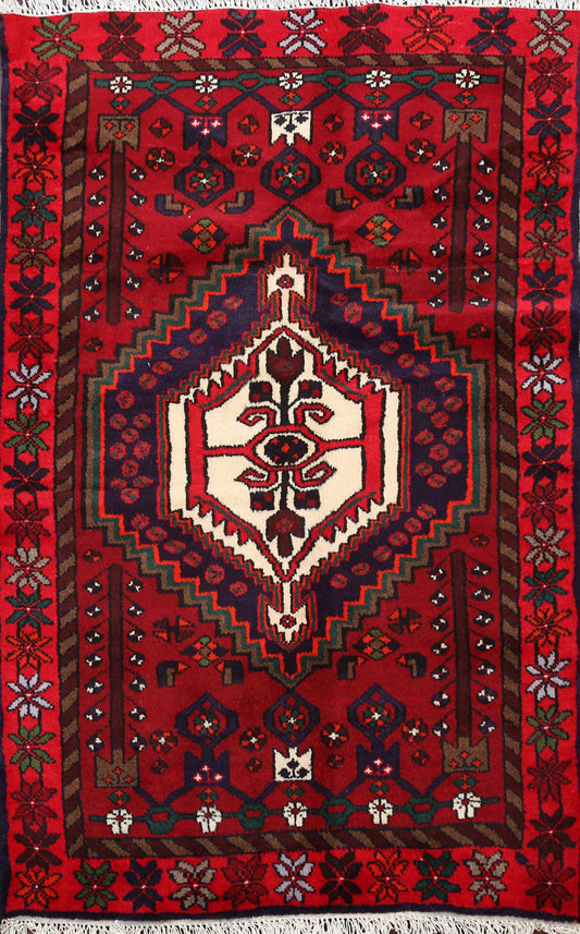 Tribal Hamedan Persian Area Rug 3x5