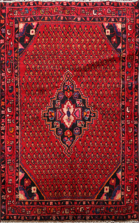 Geometric Hamedan Persian Area Rug 3x5