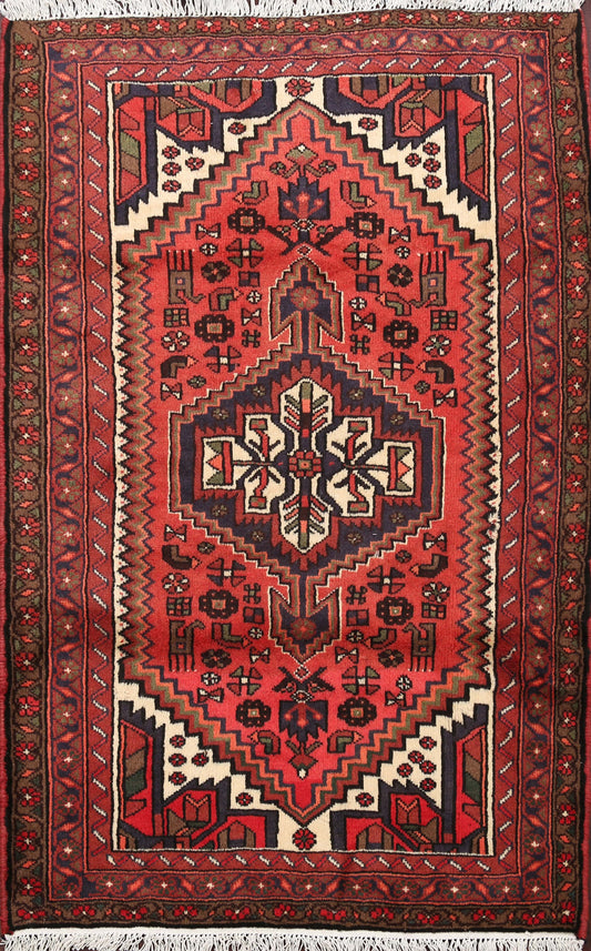 Tribal Hamedan Persian Area Rug 3x5